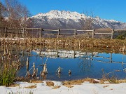 14 Il Resegone si specchia nella pozza